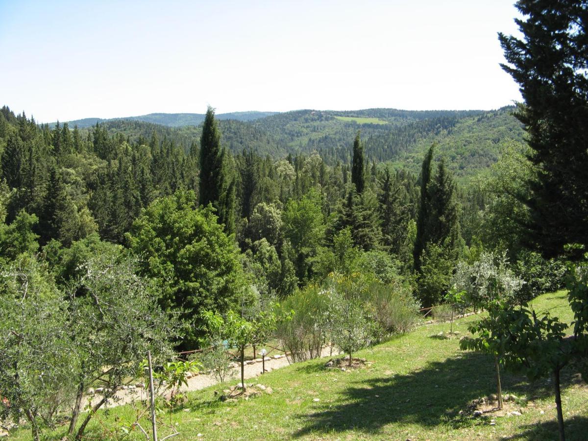 Tenuta La Cipresseta Daire Monsanto Dış mekan fotoğraf